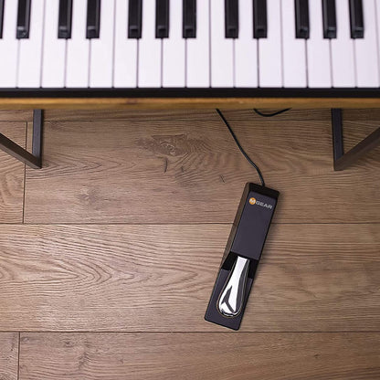 M-AUDIO SP-2 Universal Sustain Pedal with Piano Style Action for MIDI Keyboards, Digital Pianos and More